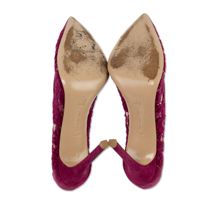 Gianvito Rossi Magenta Floral Lace Suede Trim Pumps