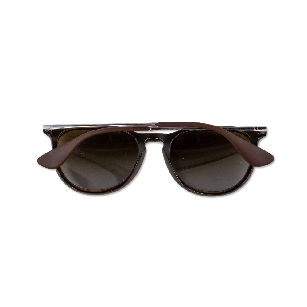 Ray Ban Erika Wayfarer Sunglasses in Brown