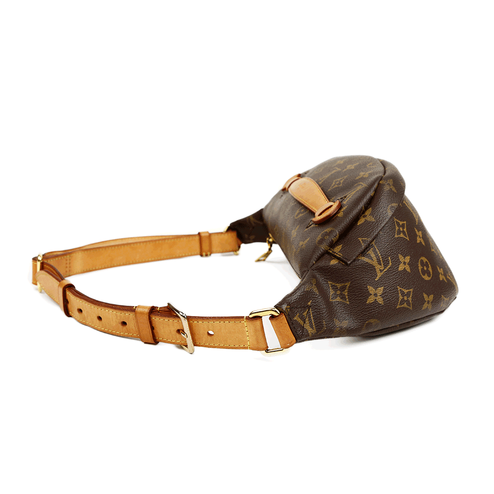 Louis Vuitton Monogram Bum Bag