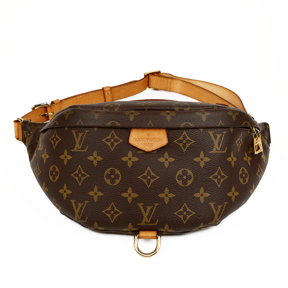 Louis Vuitton Monogram Bum Bag